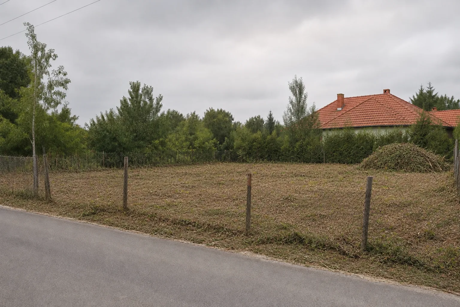 Kitisztított telek a bozótirtás után